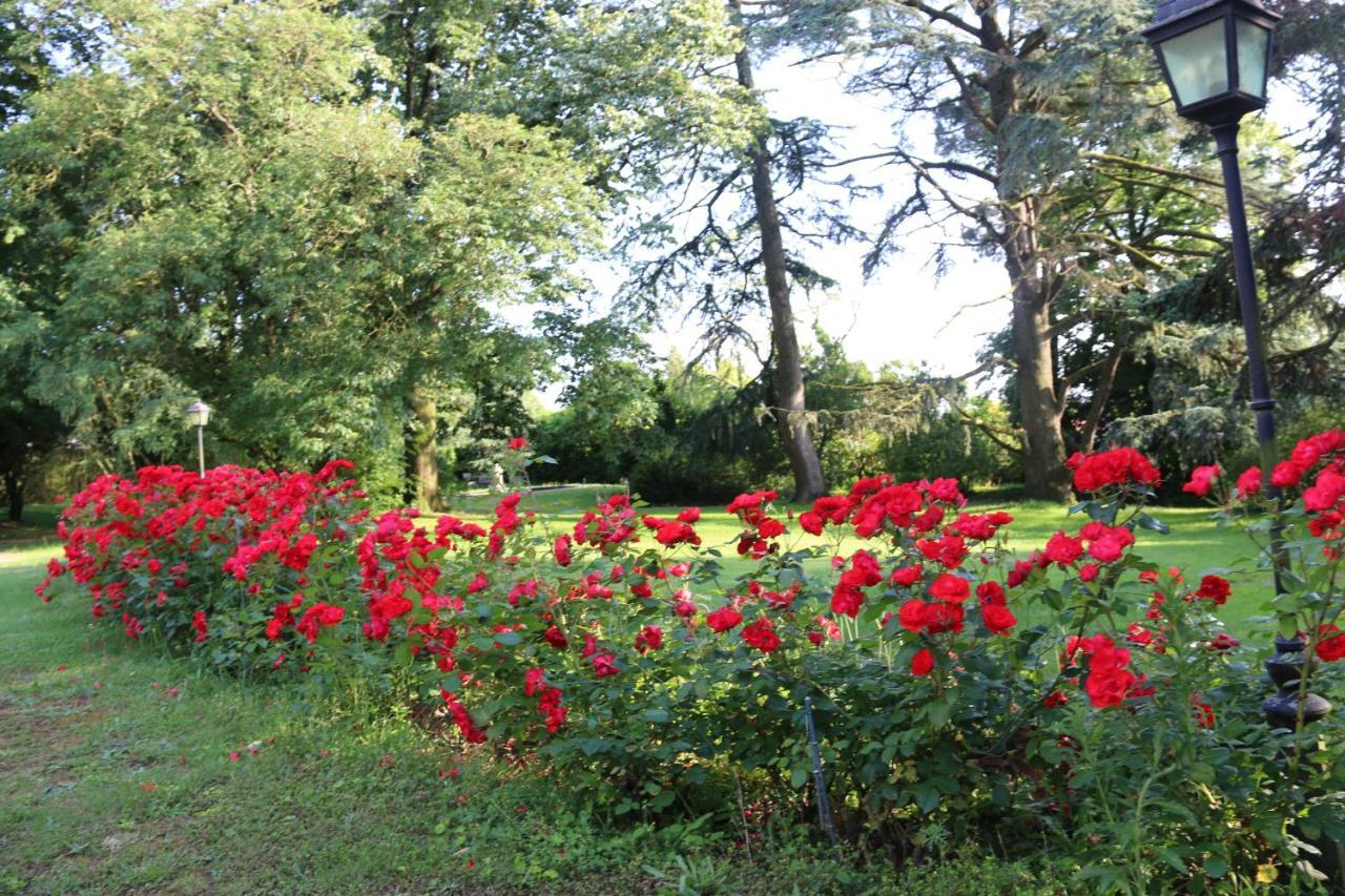 Le Chateau Des Tourelles En Vendee Frühstückspension La Gaubretiere